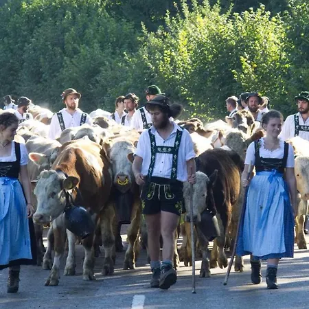 Fewo Schonblick Oberstaufen/steibis